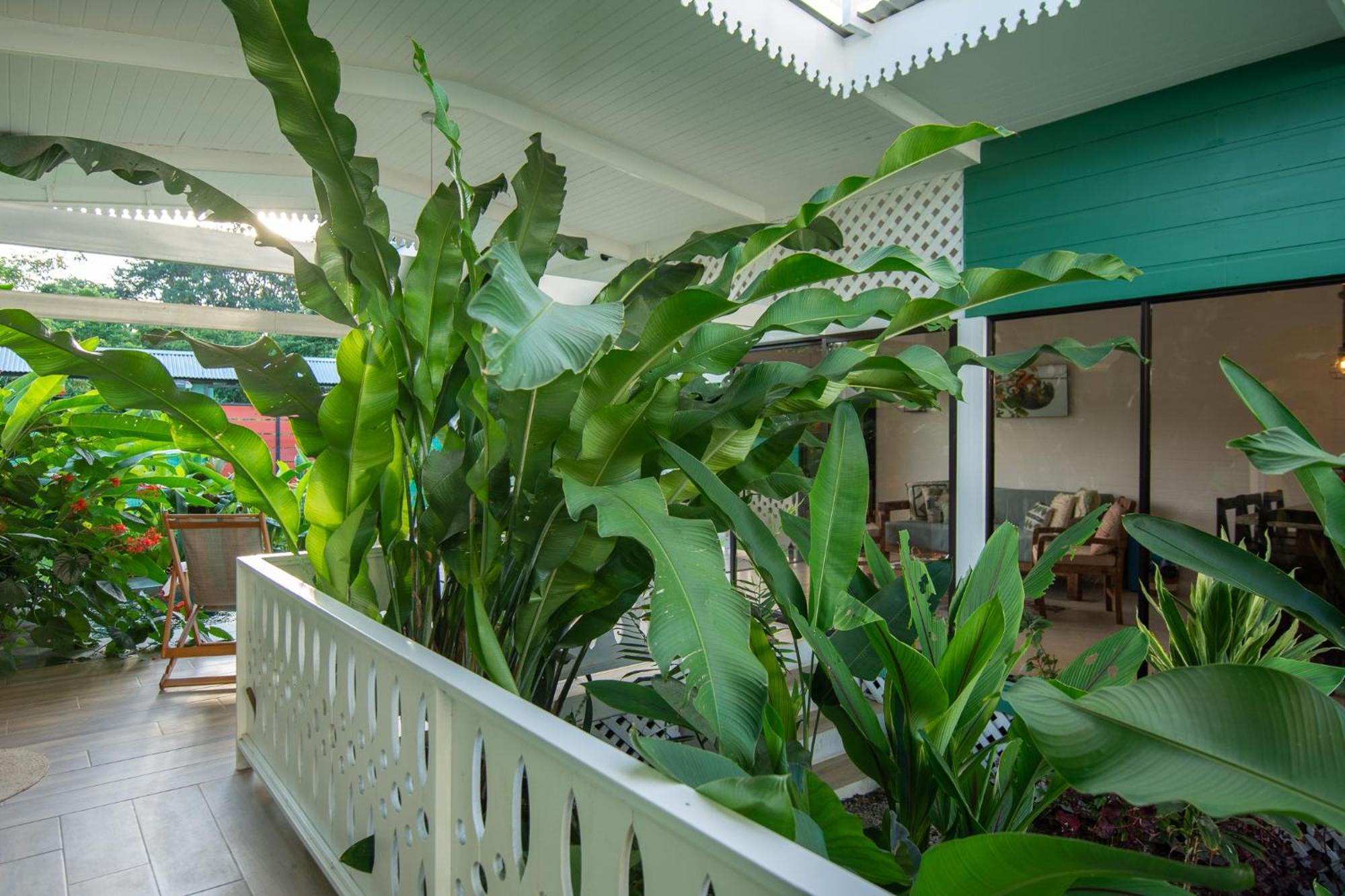 Namaitami Casa Hermosa Con Ac Y Piscina A Solo 650 Metros Del Parque Nacional 까위따 외부 사진